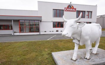 Charal commercialise le premier steak haché de moustiques
